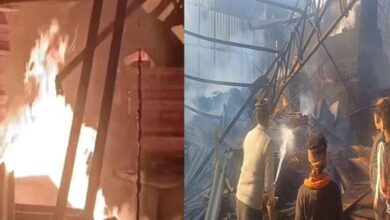Photo of प्लाइवुड फैक्ट्री में इतनी भयंकर आग, बुलानी पड़ी दमकल विभाग की 150 गाड़ियां