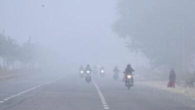 Photo of नए साल पर छा सकता है कोहरा, कई जिलों में शीतलहर का अलर्ट जारी