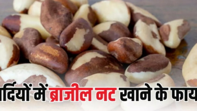 Photo of सर्दियों में Brazil Nuts को बनाएं डाइट का हिस्सा, थायरॉइड को कंट्रोल करने में मिलेगी मदद!