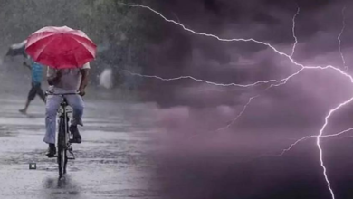 Photo of हरियाणा में बढ़ी ठंड, 14 जिलों में कोहरे का अलर्ट जारी
