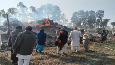Photo of पंजाब के इस विधानसभा क्षेत्र में पराली को लगी आग