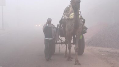 Photo of राजस्थान में जबरदस्त कोहरा-शीतलहर का कहर, पहाड़ों पर बर्फबारी का असर