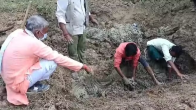 Photo of आठ महीने बाद कब्र से निकाला गया शव, कोर्ट के आदेश पर दर्ज हुआ मुकदमा