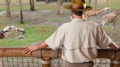 Photo of जिसे बच्चों की तरह पाला, हाथों से खिलाया, वक्त आने पर बन गया ‘वहशी’