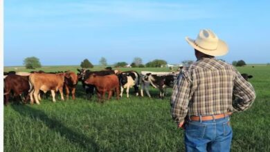 Photo of रातोंरात करोड़पति बना किसान, खाते में आए 287 करोड़, फिर ऐसा घूमा दिमाग
