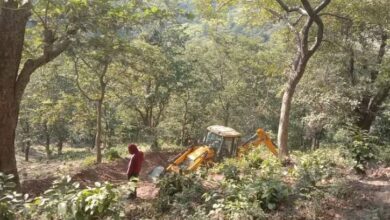 Photo of उत्तराखंड: रिजॉर्ट बनाने के लिए काटे संरक्षित प्रजाति के पेड़