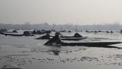 Photo of श्रीनगर: बर्फ के नीचे छाया में छिपी मछलियों की तलाश; मछलियां पकड़ने की अनूठी परंपरा