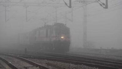 Photo of कोहरे में धीमी हुई ट्रेनों की रफ्तार: सचखंड और पटना कोटा 10:30 घंटे देरी से पहुंची