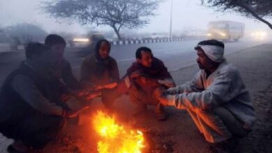 Photo of सर्द हवाओं से ठिठुरन बढ़ी, कोहरे की चपेट में राजस्थान