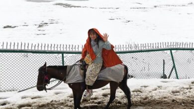 Photo of हिमपात से आफत, कश्मीर के कई संपर्क मार्ग बंद