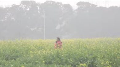 Photo of हाड़ कंपाती ठंड: भीषण सर्दी की चपेट में पंजाब, चार जनवरी से करवट लेगा मौसम