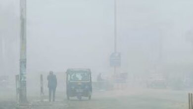 Photo of शहडोल: तापमान में आई गिरावट, अब आठवीं तक के बच्चों की मौज, दो दिनों की स्कूल की हुई छुट्टी