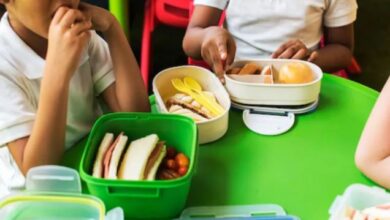 Photo of Plastic Lunch Box में भूलकर मत दीजिए अपने बच्चों को खाना