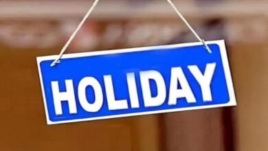 Photo of पंजाब में सरकारी छुट्टी का ऐलान…