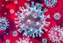 Photo of अब Norovirus का खतरा! ब्रिटेन के बाद इस देश में बढ़ रहे मामले