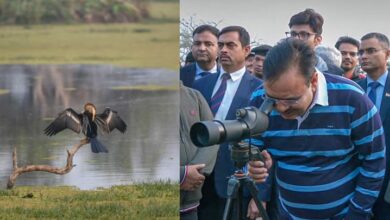 Photo of राजस्थान: केवलादेव राष्ट्रीय उद्यान में भ्रमण करने पहुंचे सीएम भजनलाल शर्मा