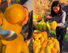 Photo of आम लिए खड़ी थी लड़की, काटकर दिखाया, तो नहीं निकला बीज, रंग देख लोगों के मुंह में आया पानी!