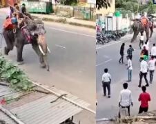 Photo of ‘एक मोटा हाथी झूम के चला!’ भीड़ में गजराज का दिखा रौद्र रूप, गाड़ी को कुचला, जान बचाकर भागते दिखे लोग!