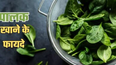 Photo of हैरान कर देंगे पालक खाने के 8 फायदे, लाेहे ज‍ितनी मजबूत हाे जाएंगी हड्ड‍ियां