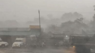 Photo of यूपी: प्रदेश में 14 मौतों के बाद 13 अप्रैल से थमेगी मौसम की उथल-पुथल