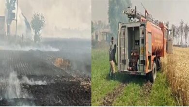 Photo of फतेहाबाद में गेहूं की फसल में लगी आग