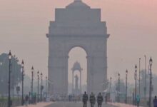 Photo of दिल्ली: वायु प्रदूषण पर प्रहार, सेंट्रल वर्ज और सड़क किनारे इलेक्ट्रिक पोल पर लगेंगे वाटर स्प्रिंकलर
