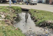 Photo of यमुनानगर में गंदे पानी से फैली बीमारी, बुखार के 78 संदिग्ध मामले आए सामने