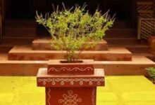Photo of गुरुवार के दिन इस विधि से करें मां तुलसी की पूजा