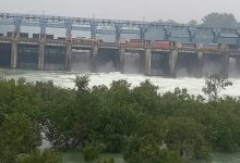 Photo of धान की बुआई नजदीक: पंजाब ने BBMB से मांगा 9 हजार क्यूसेक अतिरिक्त पानी