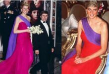 Photo of थाईलैंड में Princess Diana के खास गाउन ने जीत ल‍िया था सबका द‍िल