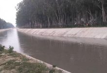 Photo of हरियाणा: झज्जर में नहर में मिला अज्ञात महिला का शव