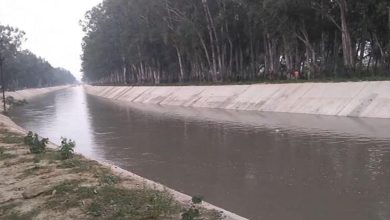 Photo of हरियाणा: झज्जर में नहर में मिला अज्ञात महिला का शव