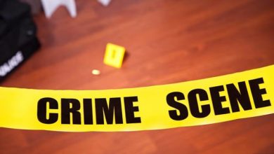 Photo of रोहतक: हिमांशु उर्फ भाऊ गैंग के दो शूटर गिरफ्तार, पुलिस ने बरामद किए हथियार