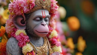 Photo of तीसरे बड़े मंगल पर जरूर करें देवी तुलसी की पूजा