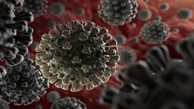 Photo of बिहार में डॉक्टर समेत 2 लोगों के Covid-19 से संक्रमित होने की पुष्टि