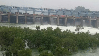 Photo of पानी पर रार: पंजाब सरकार ने दायर की पुनर्विचार याचिका, कहा-BBMB ने कोर्ट को गुमराह करने की कोशिश की