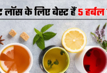 Photo of दूध वाली चाय को भुलाकर इन 5 Herbal Teas को करें डाइट में शामिल, पेट की चर्बी होने लगेगी कम