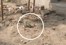 Photo of शराब के ठेके के पास मिला ग्रेनेड, फटा नहीं… गैंगस्टर्स की वायरल हुई पोस्ट से जागी पुलिस; बताया डमी