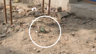 Photo of शराब के ठेके के पास मिला ग्रेनेड, फटा नहीं… गैंगस्टर्स की वायरल हुई पोस्ट से जागी पुलिस; बताया डमी
