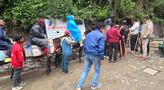 Photo of गौरीकुंड से 1709 घोड़ा-खच्चर सवारी लेकर पहुंचे धाम, यात्रियों ने ली राहत की सांस