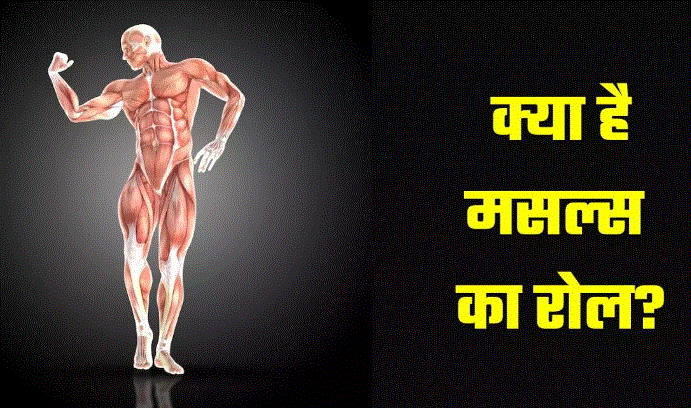 Photo of हमारे शरीर में अहम भूम‍िका न‍िभाते हैं Muscles