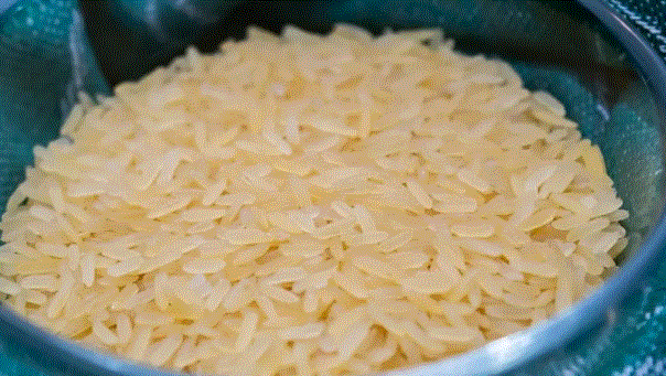 Photo of भारत ने विकसित की विश्व की पहली जीनोम संपादित धान की किस्में
