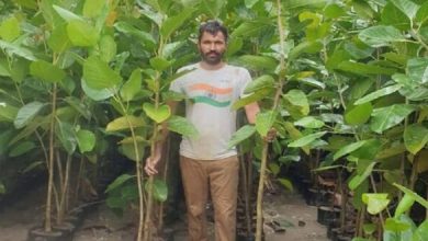 Photo of ट्री मैन का कमाल: पर्यावरण संरक्षण के लिए लगाए 26 ऑक्सीजन बाग…