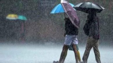 Photo of  हरियाणा में आज बारिश,आंधी-तूफान, IMD ने जारी की ये चेतावनी