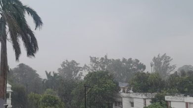 Photo of पटना, भागलपुर समेत इन जिलों में बारिश का ऑरेंज अलर्ट