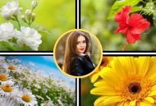 Photo of नूरानी निखार चाहिए? तो गार्डन में लगे 4 फूलों से करें Skin Care