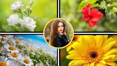 Photo of नूरानी निखार चाहिए? तो गार्डन में लगे 4 फूलों से करें Skin Care