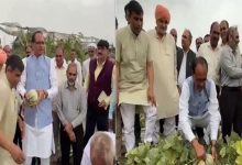 Photo of हरियाणा: पानीपत में खेत में पहुंचे शिवराज सिंह चौहान