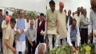 Photo of हरियाणा: पानीपत में खेत में पहुंचे शिवराज सिंह चौहान