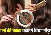 Photo of स्मूद और शाइनी हो जाएंगे झाड़ू जैसे बाल! अगर आपने सीख लिया चिया सीड्स का कैसे करना है इस्तेमाल!
